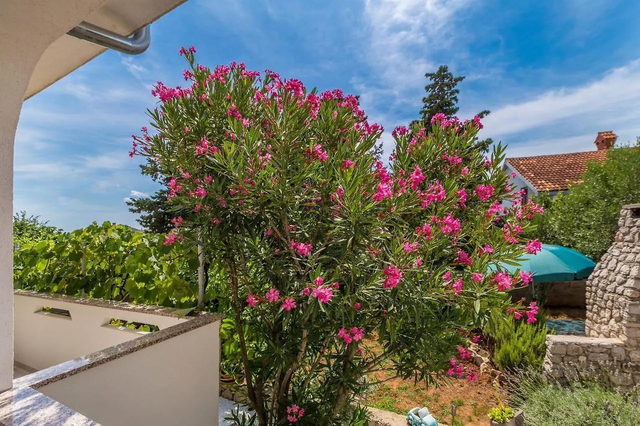 Apartment Apartman Srki Omisalj Croatia